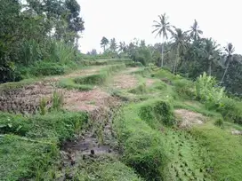 Tanah Premium Los Sungai fiew sawah lembah sungai ubud dkt hotel