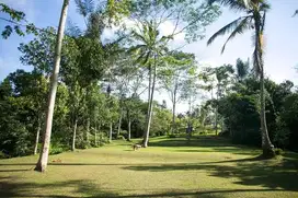Tanah super premium ubud tegalalang los sungai