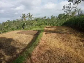 Tanah super murah di ubud payangan view junggle dan sawah