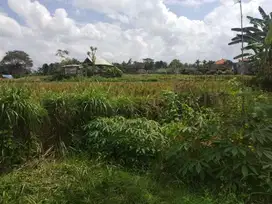 Tanah size kecil full view sawah tengkulak ubud