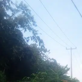 Dijual Tanah Murah di Rumpin