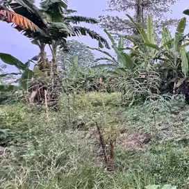 dijual tanah lokasi strategis posisi sudut sudiang makassar