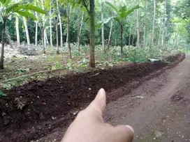 tanah pekarangan 900m² lebar 45m, jumapolo karanganyar