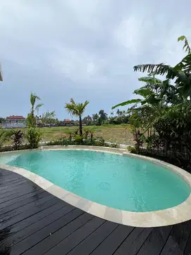 villa sale view sawah