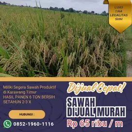 Sawah Produktif Dijual Murah Rp 65 ribu/m di Karawang Timur