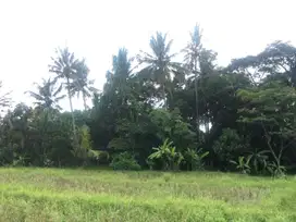 PREMIUM LOKASI UBUD Bali tirta tawar central ubud monkey pengosekan