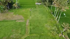 Tanah Premium Pinggir jalan Los sungai dan air terjun di ubud gianyar