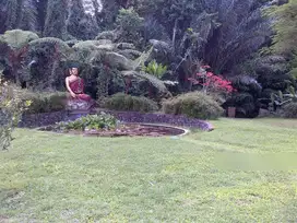 Tanah los Sungai payangan Dkt Padma Hotel