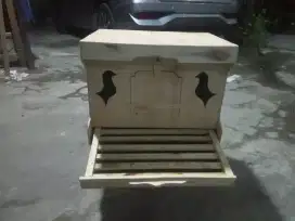 Terima pesanan dan jual gupon merpati area Poris Cipondoh Tangerang