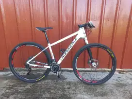 Sepeda Cannondale Lefty Flash 29
