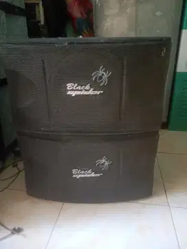 Speaker black spider 10inc,double magnet