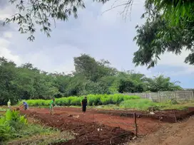 Kavling Komersial Cibubur Prospek Cerah 30% Per Tahun