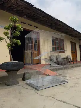 New KandanG Kucing solo