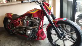 Harley davidson softail 2005 custom