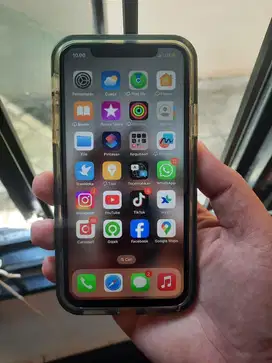 Iphone X 256 GB