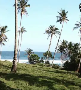 Tanah view laut di Bonian Beach tabanan