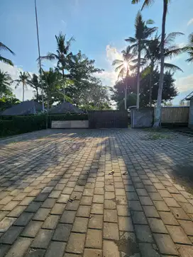 DIJUAL TANAH LOS PANTAI, CEMAGI BADUNG, BALI