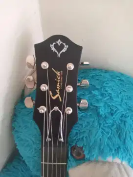 Gitar Electrik
Samick Las Paul
With Hardcase