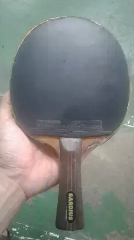 bet pingpong sardius berkelas