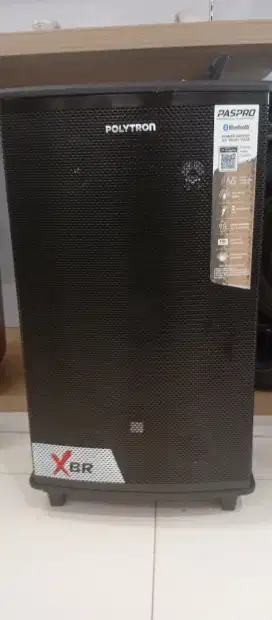 SEPEAKER POLYTRON PAS PRO12F7
