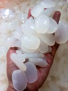 KOLANG KALING grand B Super