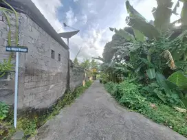 Tanah Kavling Di jln Srikandi Sambangan - Sukasada