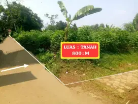 DI JUAL TANAH KEBUN SETRATEGIS