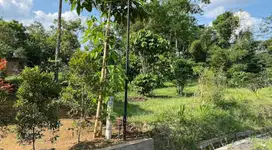 Dijual Tanah di Kampoeng Pamtu De Telkom Getasan sumogawe semarang