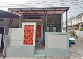 Kanopi alderon rs 49