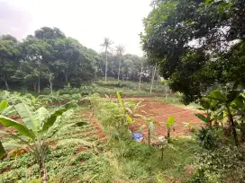 Tanah 1ha Pamoyanan Bogor lokasi menarik