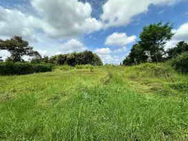 Dijual Cepat Tanah Luas 3Ha Poros Jalan dekat Kampus UIN 3 Dau Malang