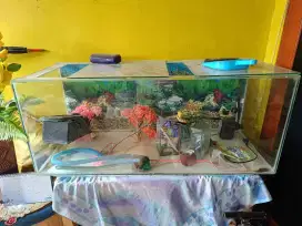 Aquarium + Filter Air + 2 Tanaman Hias