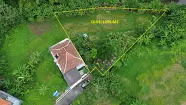 Disewakan tanah pinggir sungai
