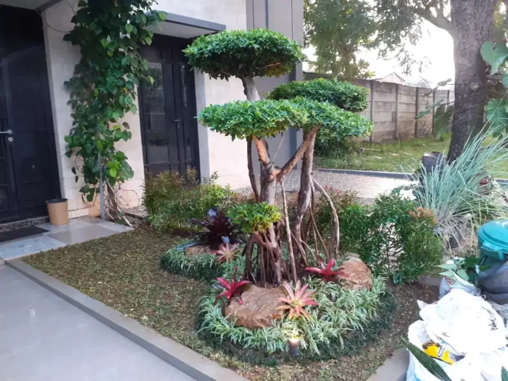 Jasa pembuatan taman rumah