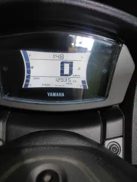 N max new 2023 hijau doff original