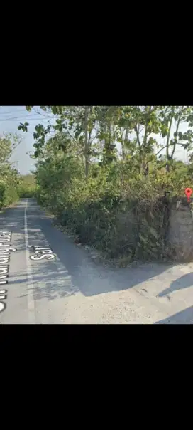 Dijual tanah murah,92,8 are di kutuh jimbaran bali dkt  pantai pandawa