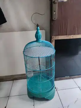 Kandang burung love bird