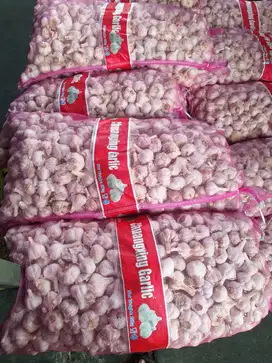 JUAL BAWANG PUTIH DAN BOMBAY