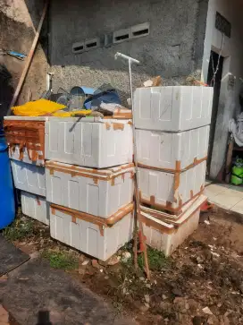 STYROFOAM Daging, Sayur, Buah
