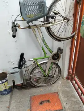Sepeda Polygon dewasa