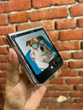 Samsung Z Flip 5 8/512