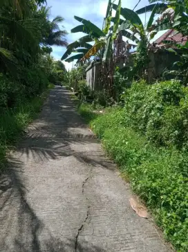 Dijual tanah perkebunan luas 20are