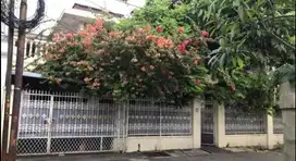 RUMAH RAWAMANGUN DI JLN IKAN IKAN STRATEGIS KE MANA MANA