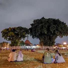 Tanah Termurah Jalan Palagan, Siap Bangun Rumah/Villa