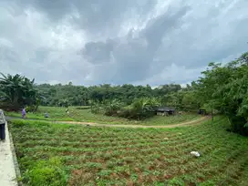 Tanah Kaveling Ciampea Cicilan 12x Tanpa Bunga 0%, 10 Menit Kampus IPB