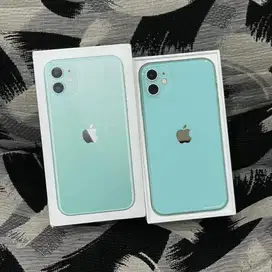 iPhone 11 Green 256 GB Inter