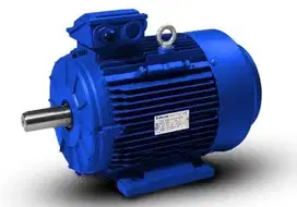 Electro Motor Dinamo Emm Elektrim