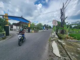 1 Km SD Budi Mulia Panjen, Peruntukan Usaha atau Rumah