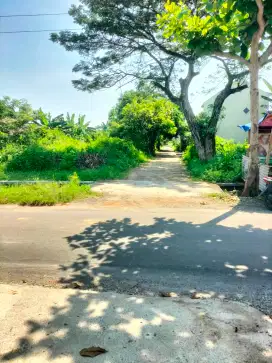 Bismillah dijual tanah SHM cocok untuk perumahan