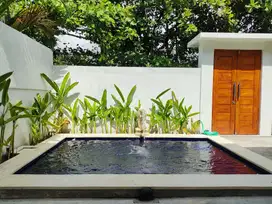 Villa for rent umalas